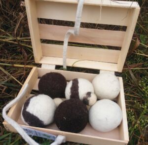 Coffret « jeu de boules d’intérieur »