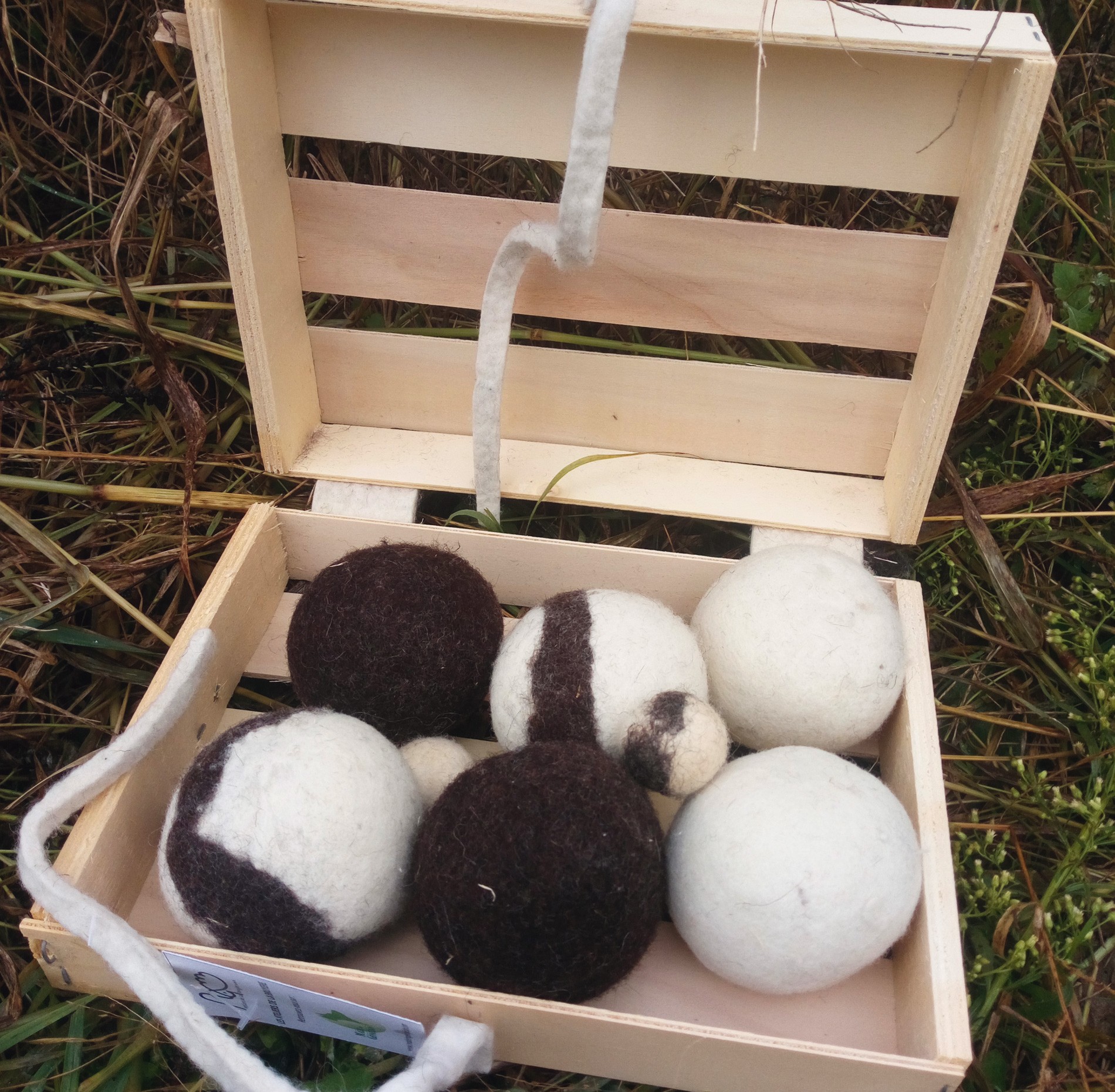 Coffret « jeu de boules d’intérieur »