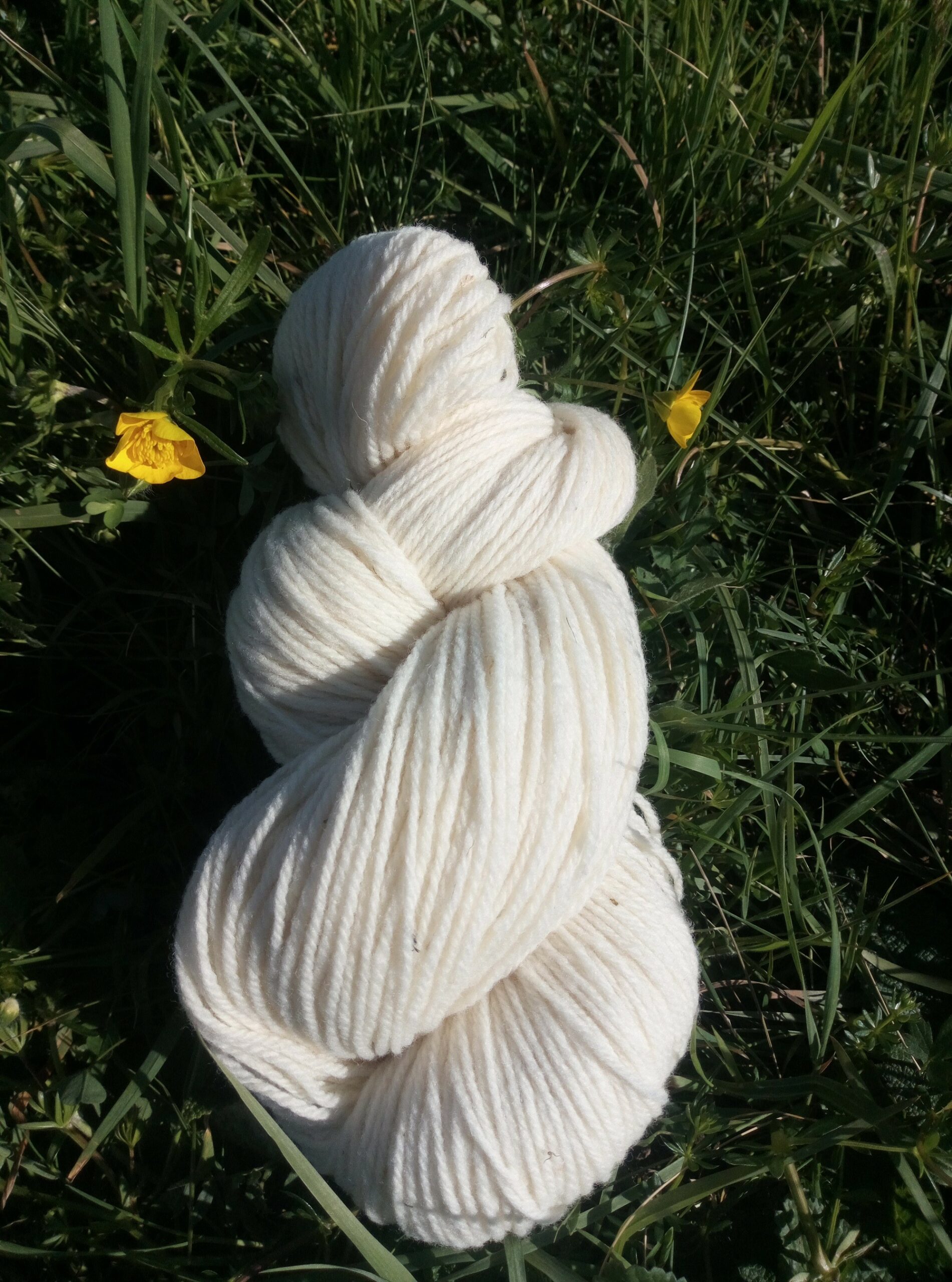 Echeveau (100 g) de laine Mérinos non teintée – Uni et chiné