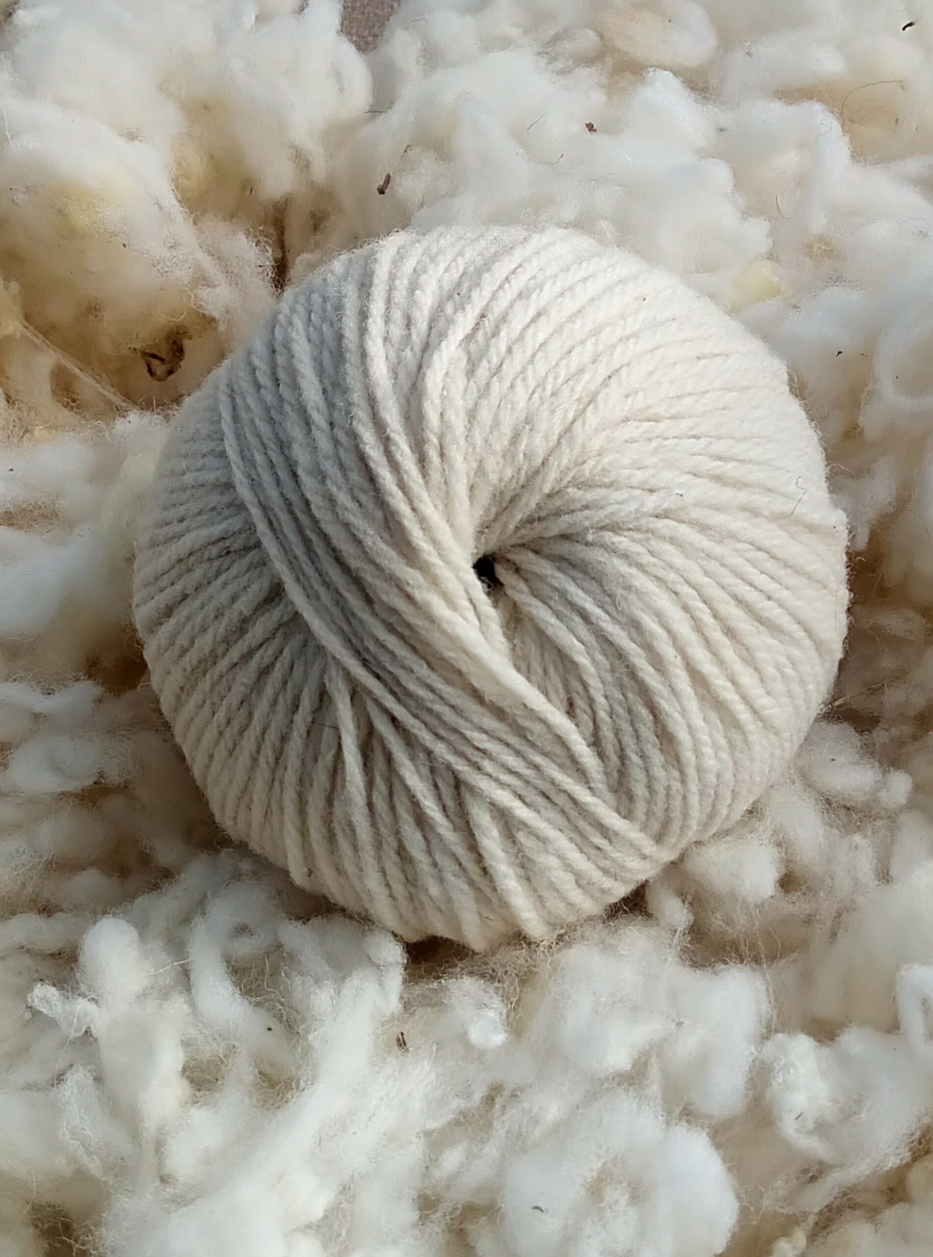 FLOCKY – Pelote de laine mérinos pure – Non teintée – Blanc Ecru