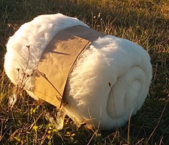 Nappe de laine de mouton – 300 g/m2 – 1kg