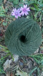Pelote de laine Mérinos (50 g) – Coloris Fougère