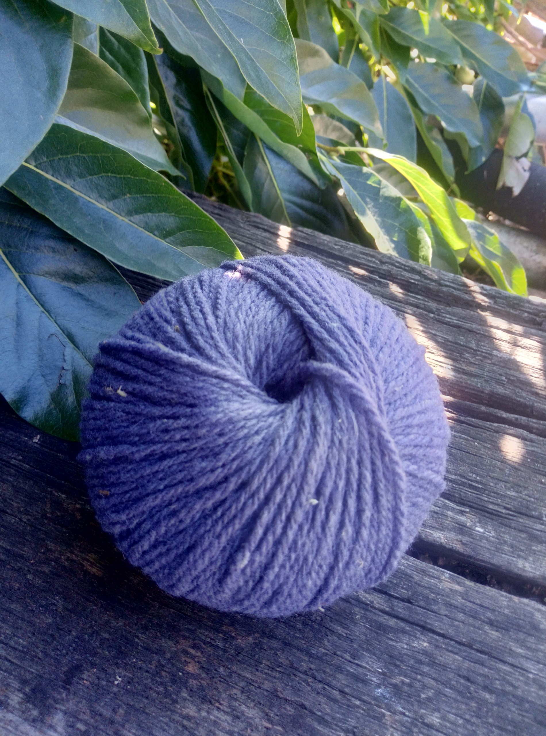 Pelote de laine Mérinos (50 g) – Coloris Myrtille